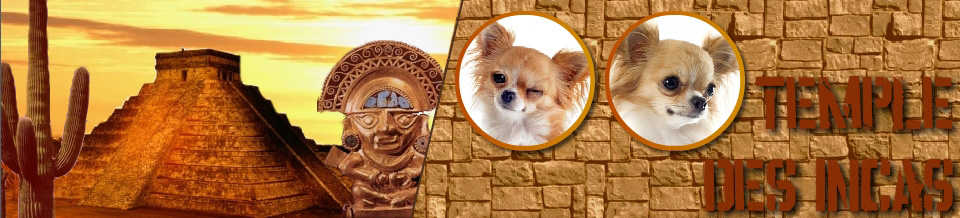 Incas