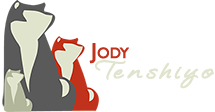 Logo akita inu tenshiyo2