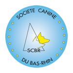 Nouveau logo scbr