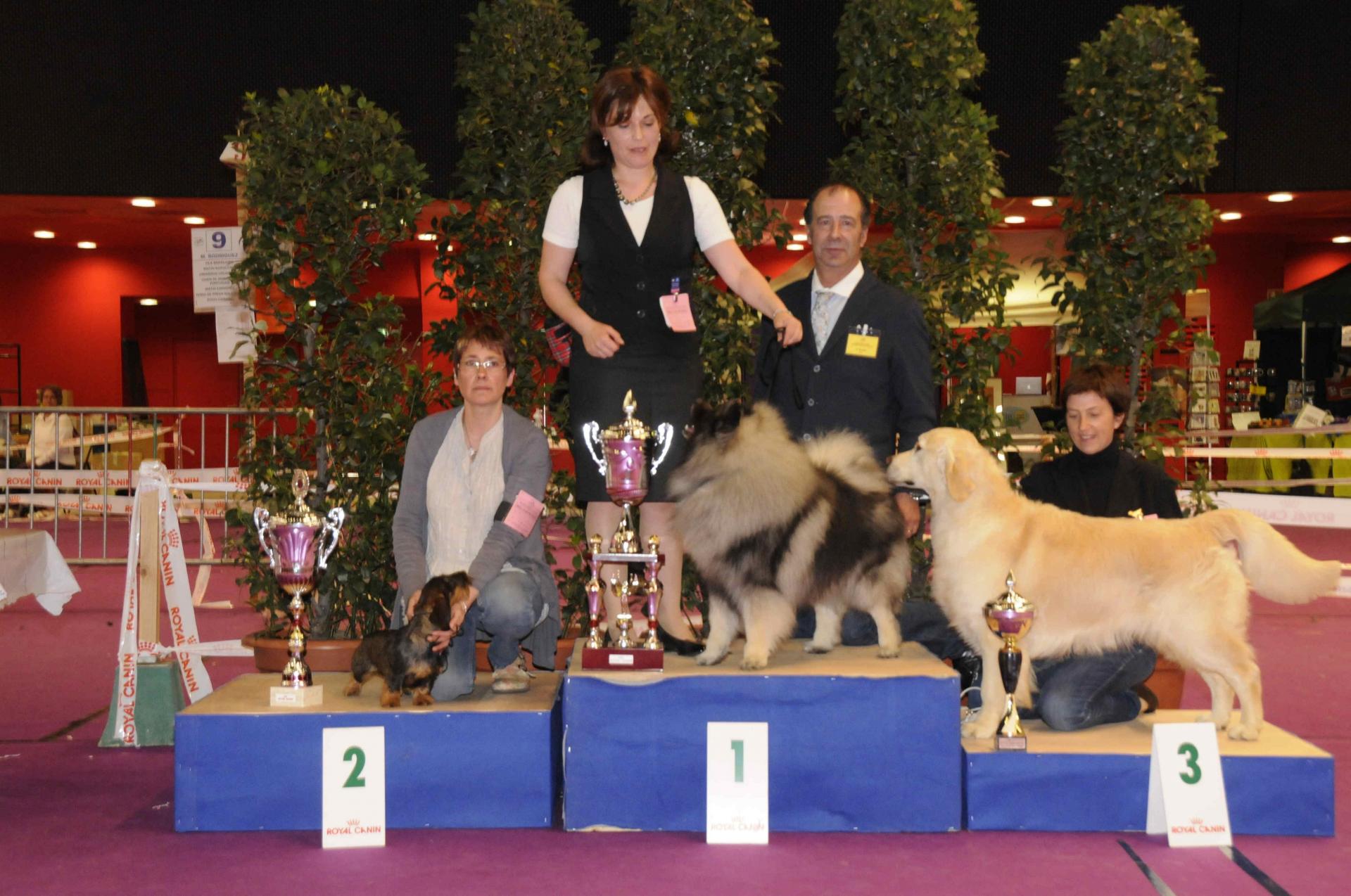 Podium best