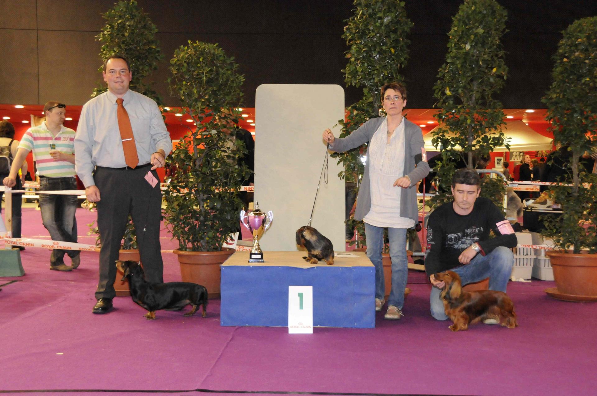 Podium gr 4 teckel senior