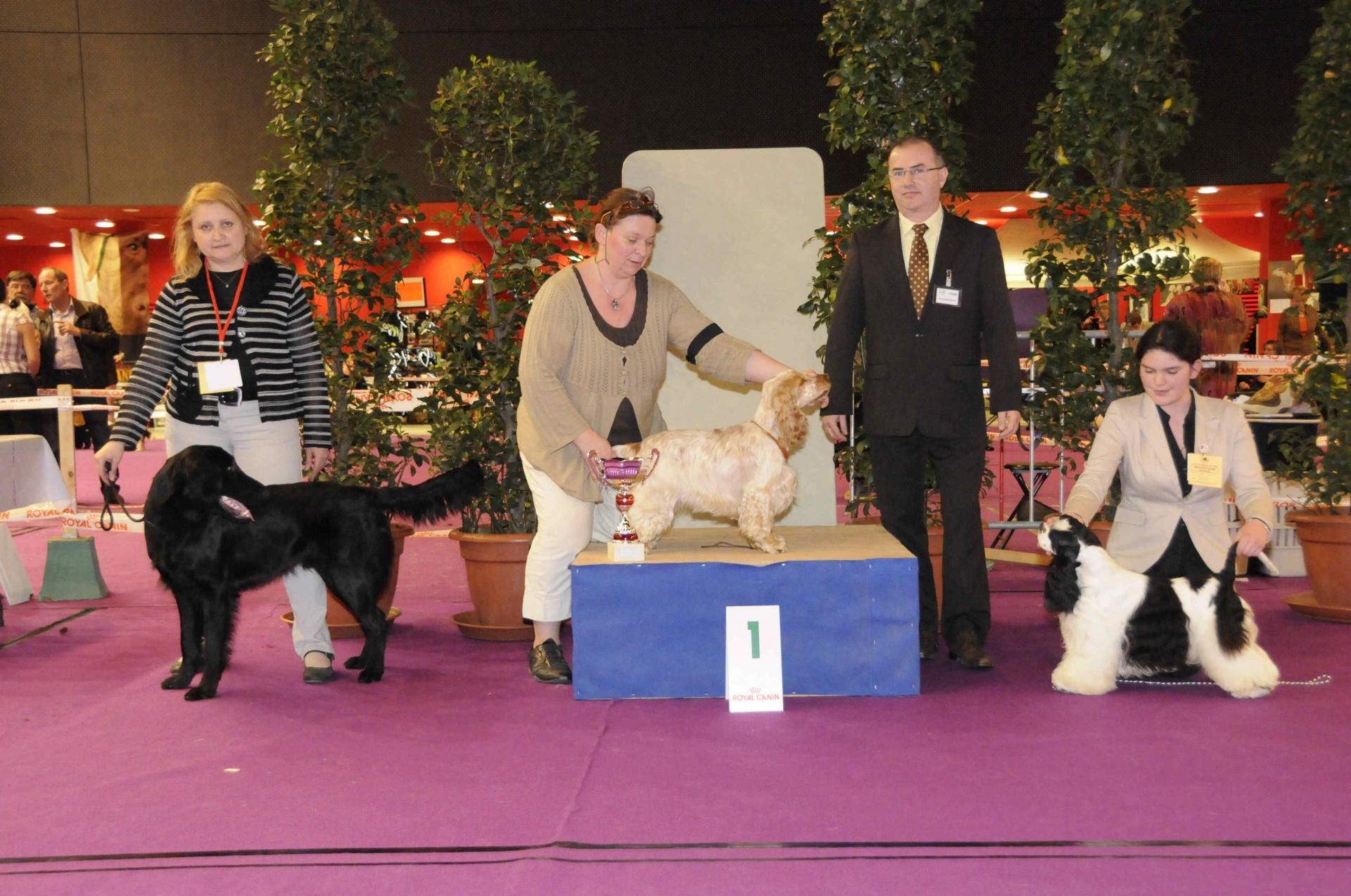 Podium gr 8 jeune