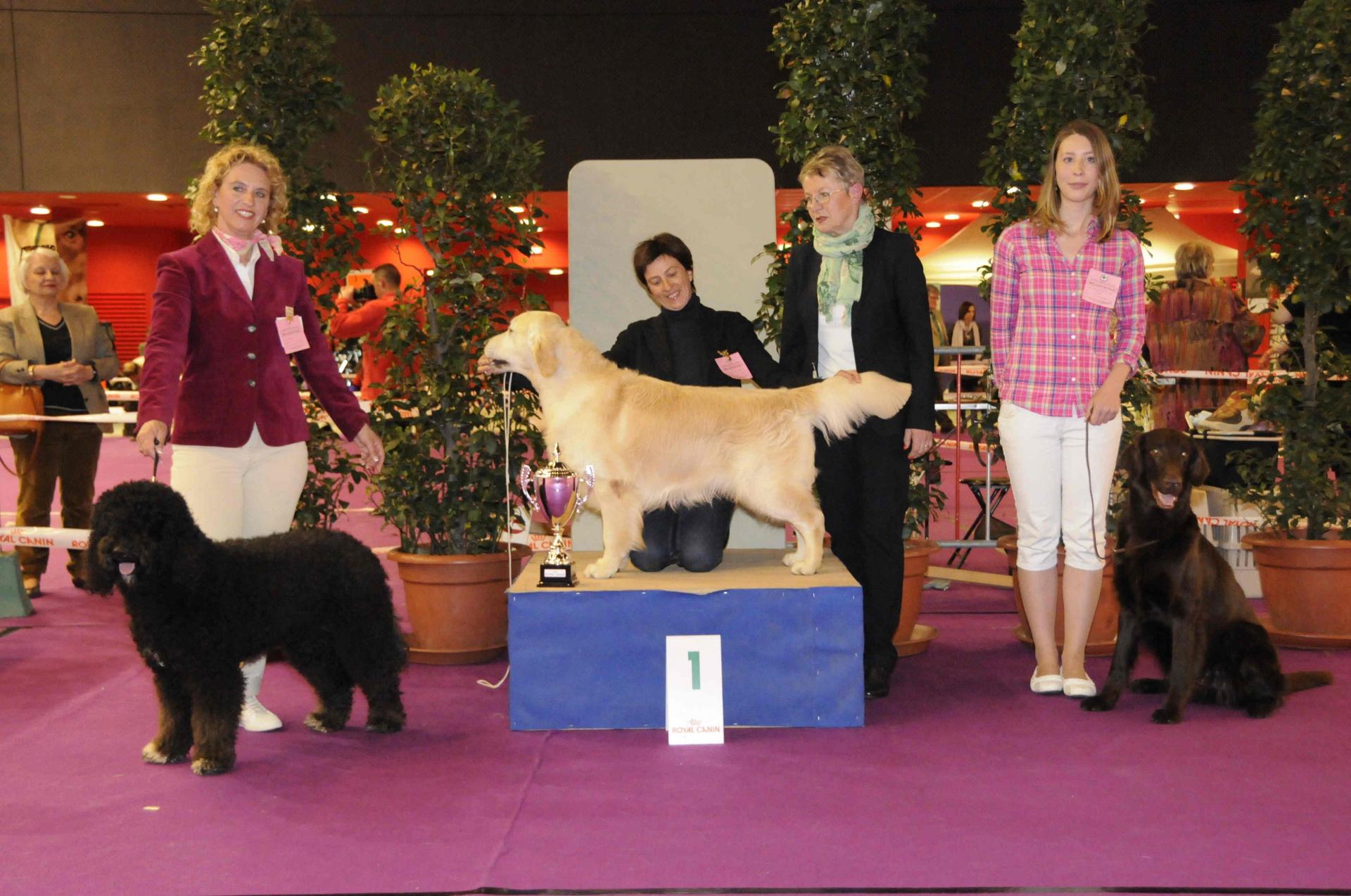 Podium gr 8 senior