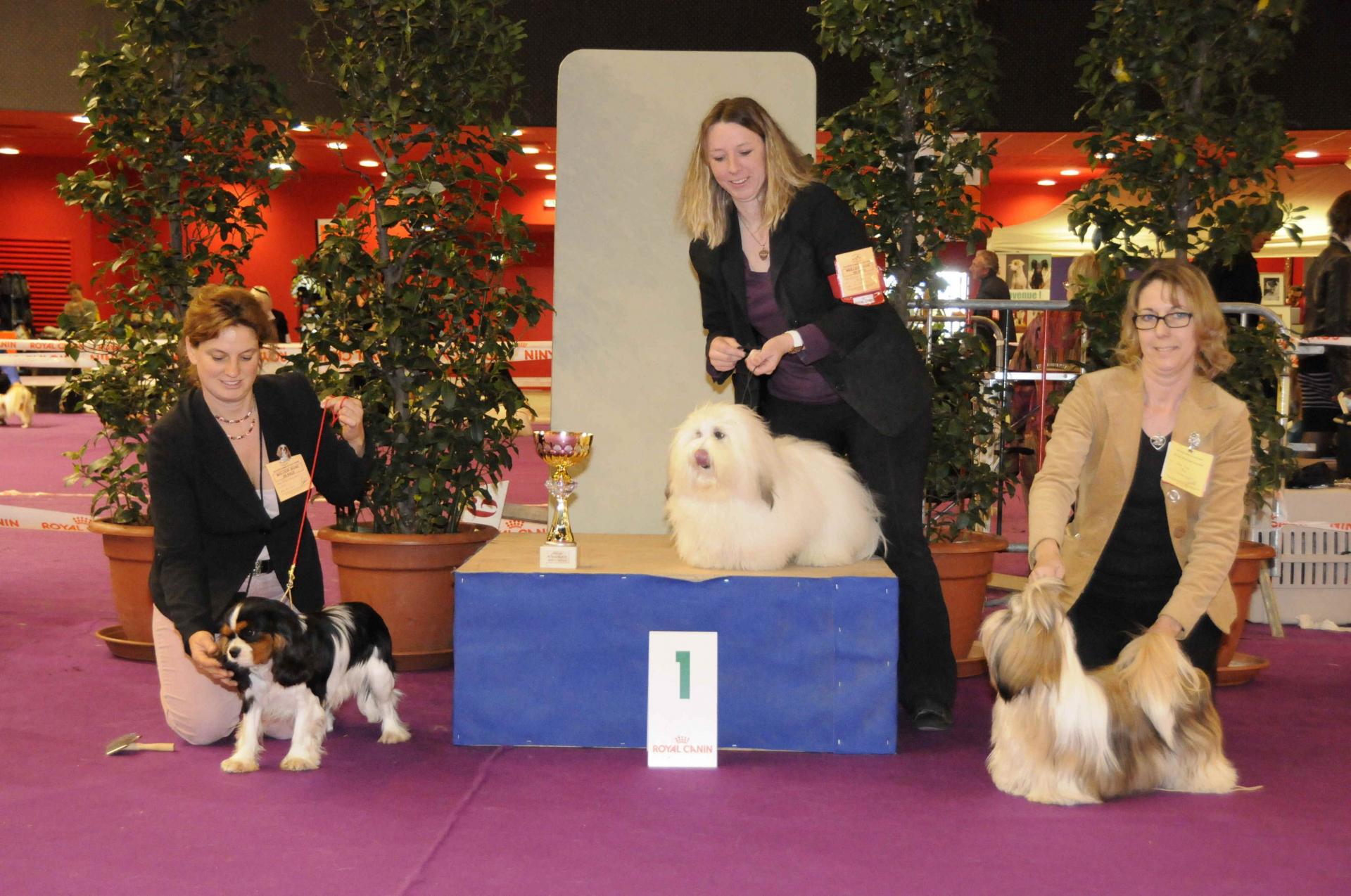Podium gr 9 jeune