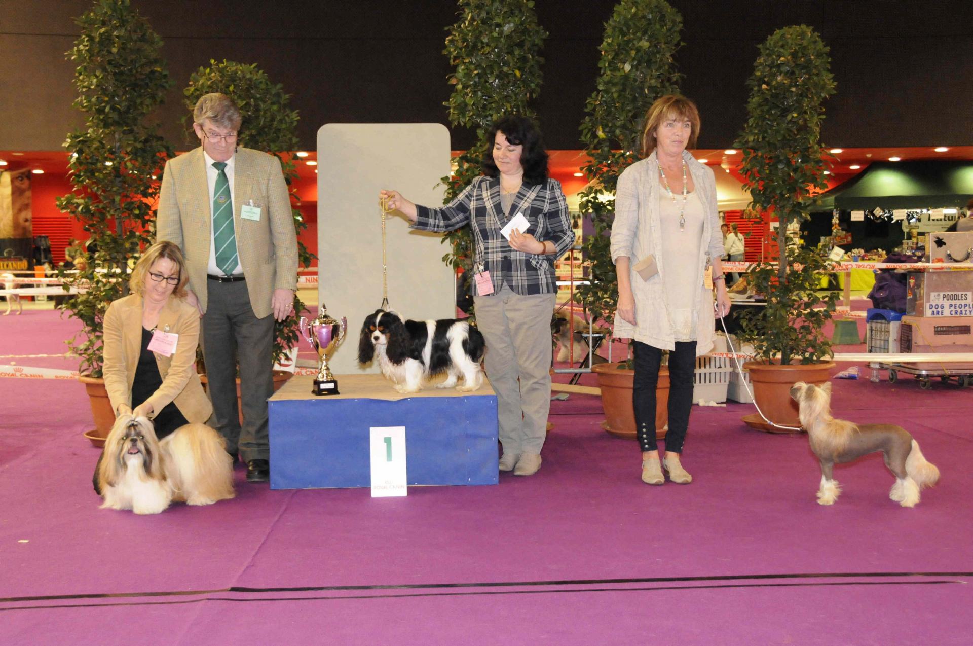 Podium gr 9 senior