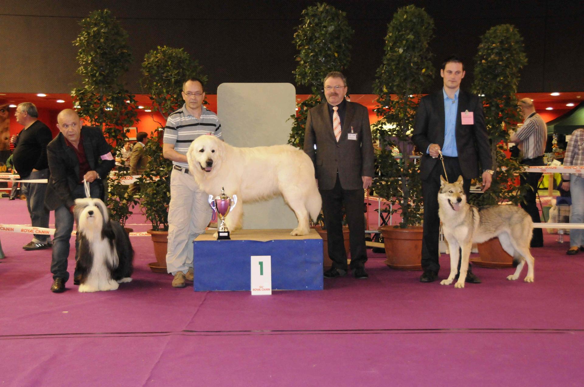 Podium gr i senior