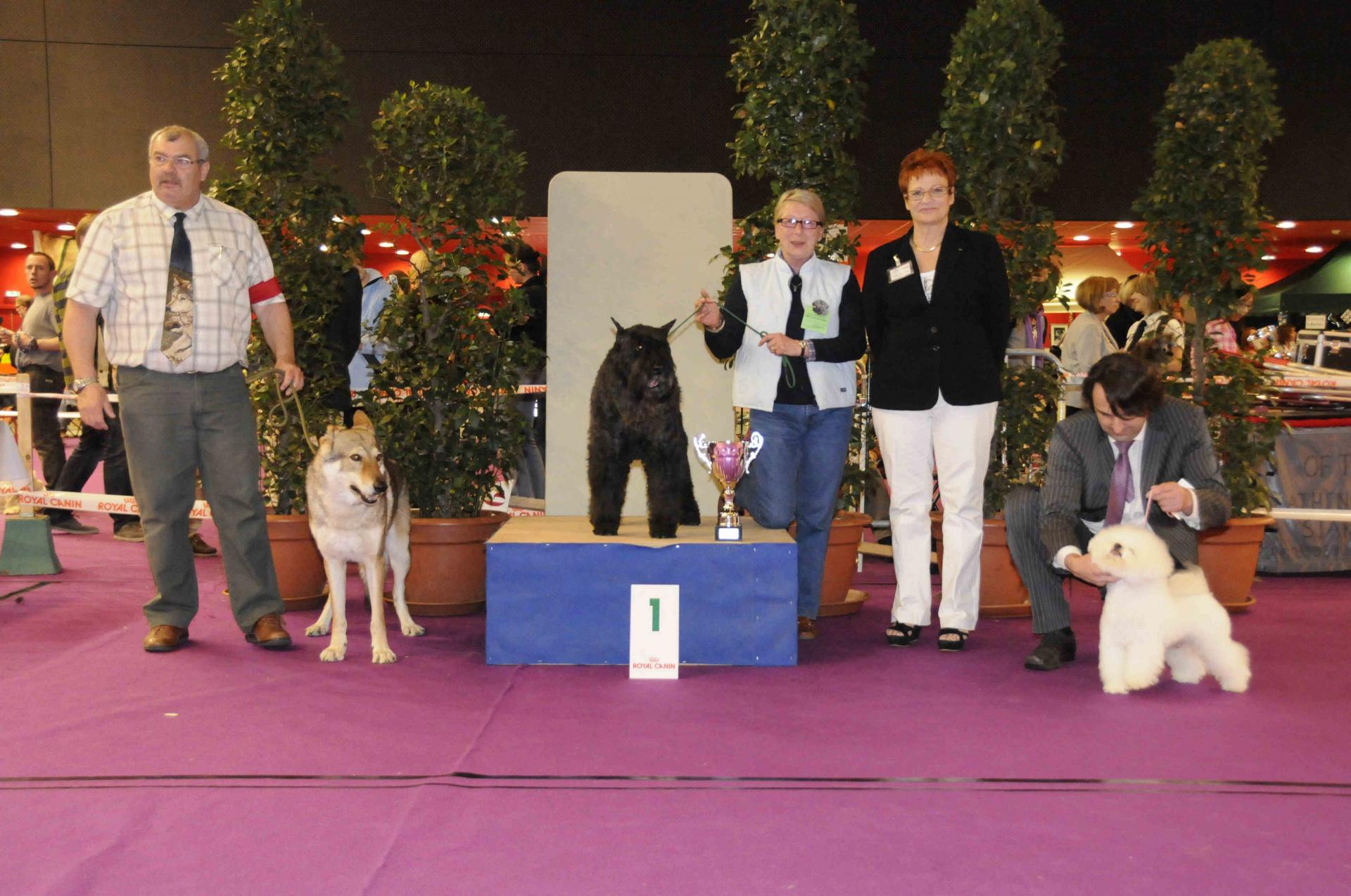 Podium veteran samedi